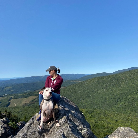 Meet your Posher, Brittany - Picture 4 of 12